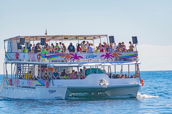 Sunset Dinner Cruise with Tequila & tacos - Seeing El Arco and Cabo’s sea lions from the water