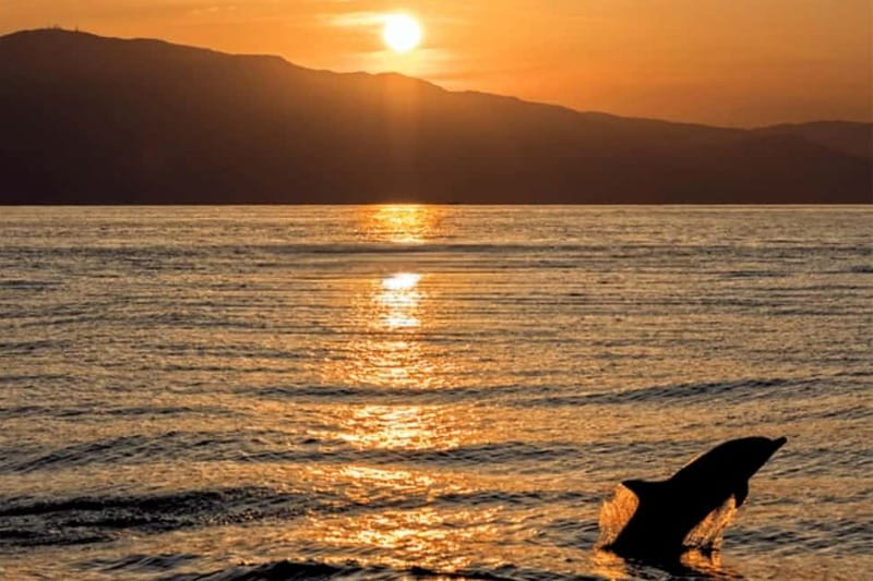 Sunset Dolphin Cruise with Dinner – Medulin Archipelago - Leaving Medulin Harbour With Time to Settle In