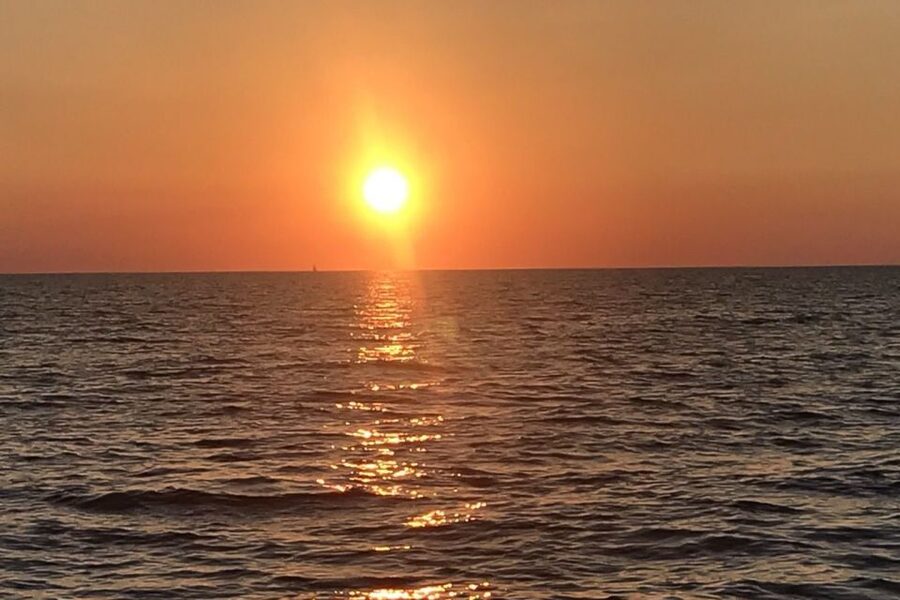 Sunset Dolphin Cruise with Dinner – Medulin Archipelago - Unlimited Drinks Without Extra Planning
