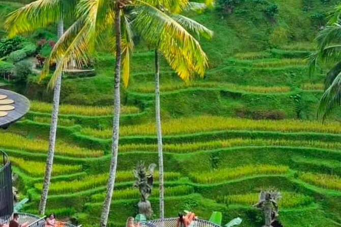 Sunset Sailboat Dinner Cruise & Private Ubud highlights Tour. - What the $80 Price Really Covers