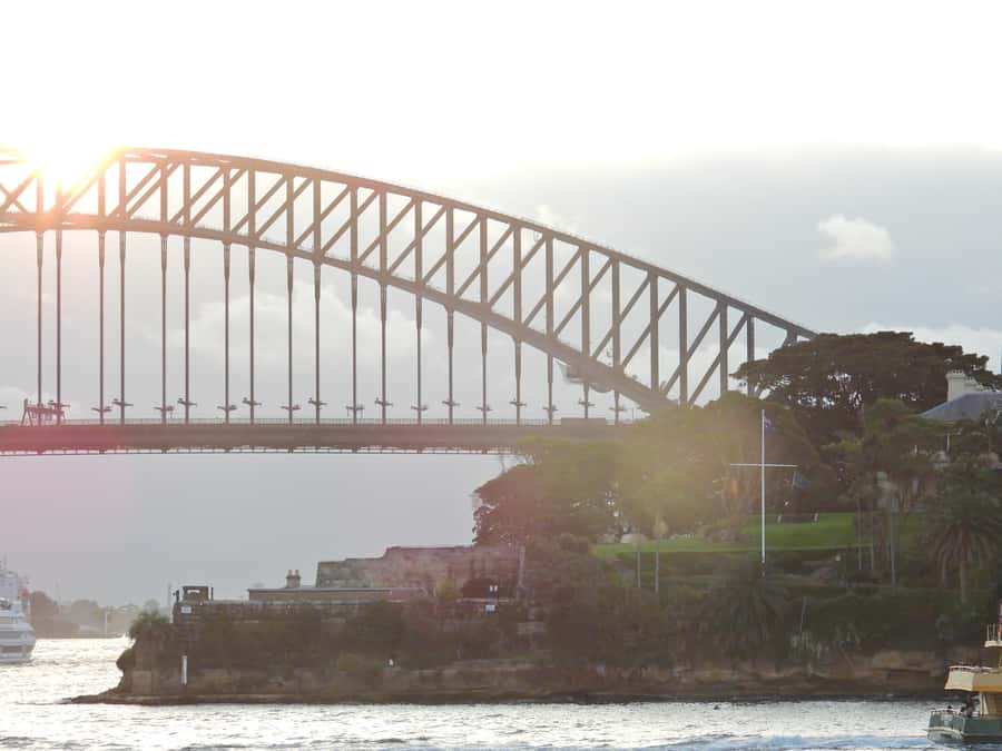 Sydney: Harbour Cruise with Buffet Lunch - What the guides add to the experience