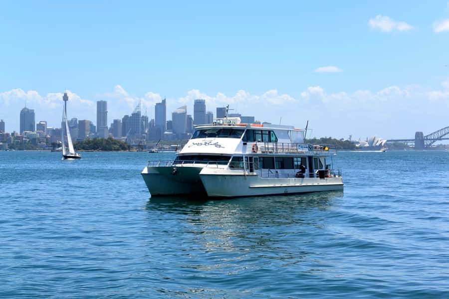 Sydney: Morning Sightseeing Bus to Bondi with Lunch Cruise - Key points at a glance