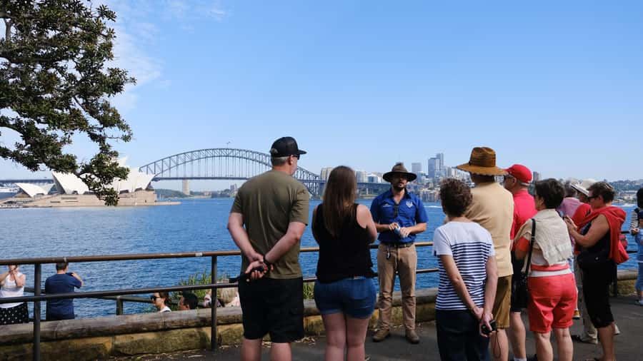 Sydney: Morning Sightseeing Bus to Bondi with Lunch Cruise - Rose Bay shows the city’s polished eastern side