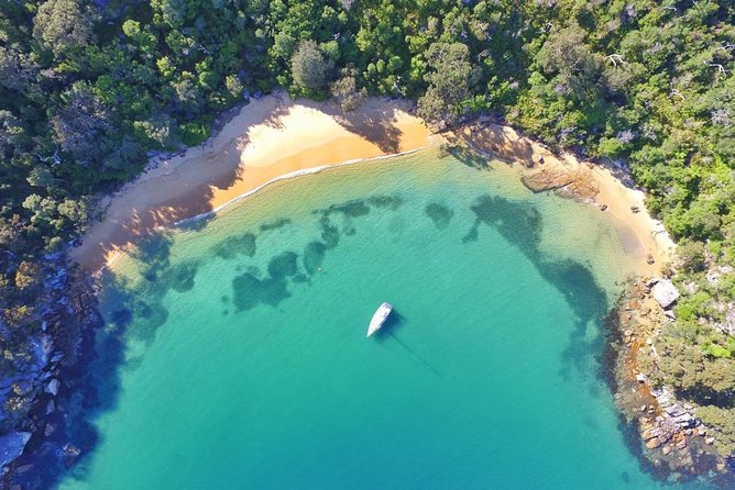 Sydney Secrets Lunch Cruise - Key points to know before you book