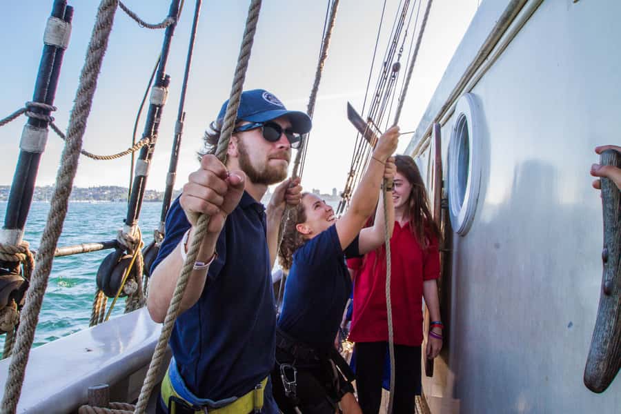 Sydney: Tall Ship Harbour Twilight Dinner Cruise - What dinner is really like