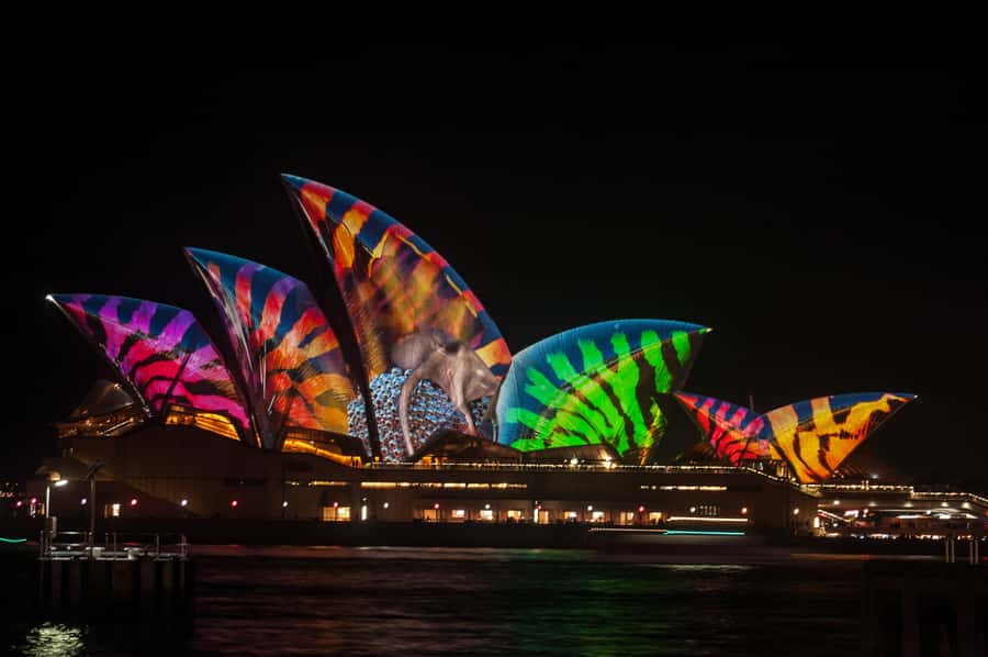 Sydney: Vivid Festival of Light Harbor Cruise with Dinner - The welcome drink and buffet dinner