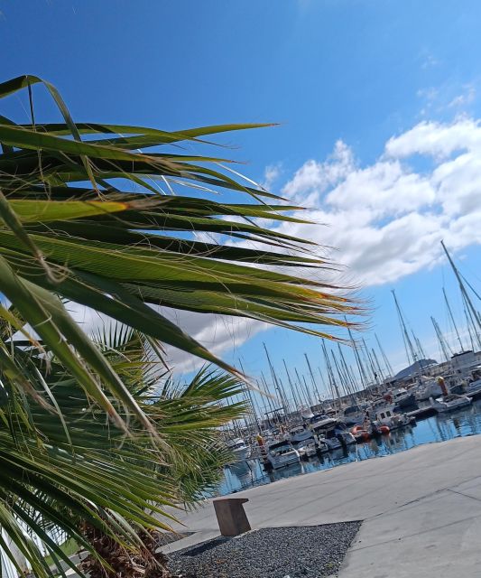 Tenerife: PRIVATE Catamaran cruise with Lunch and Drinks - Who will enjoy this cruise most