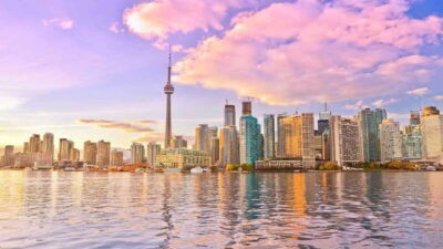Premium Harbor Cruise with Lunch, Brunch, or Dinner