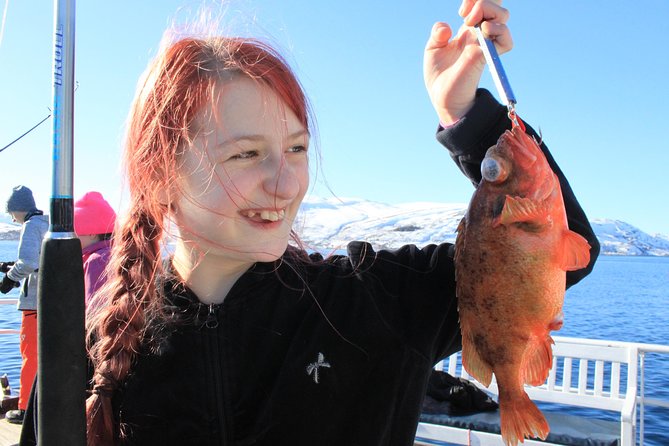 Tromsø: Arctic Fjord Cruise & Fishing Experience - At a glance