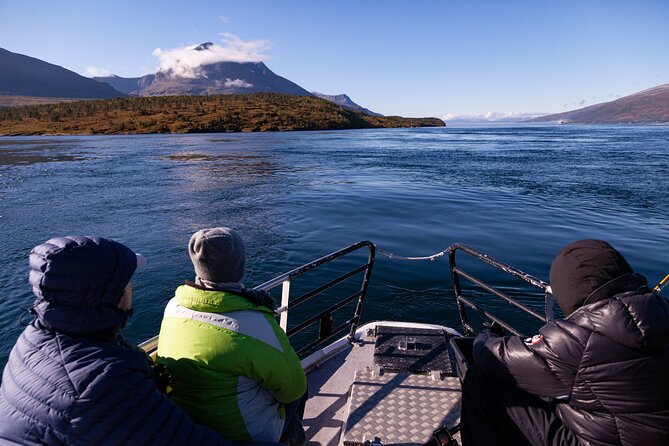 Tromsø: Arctic Fjord Cruise & Fishing Experience - Lunch in a bowl: fish soup and hot drinks