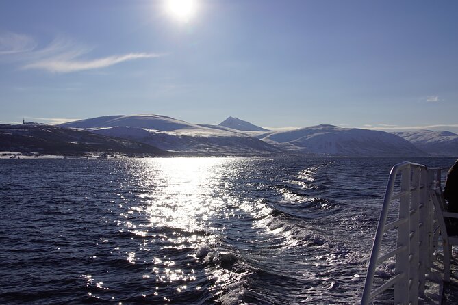 Tromsø: Arctic Fjord Cruise & Fishing Experience - Staying warm in changing Arctic weather