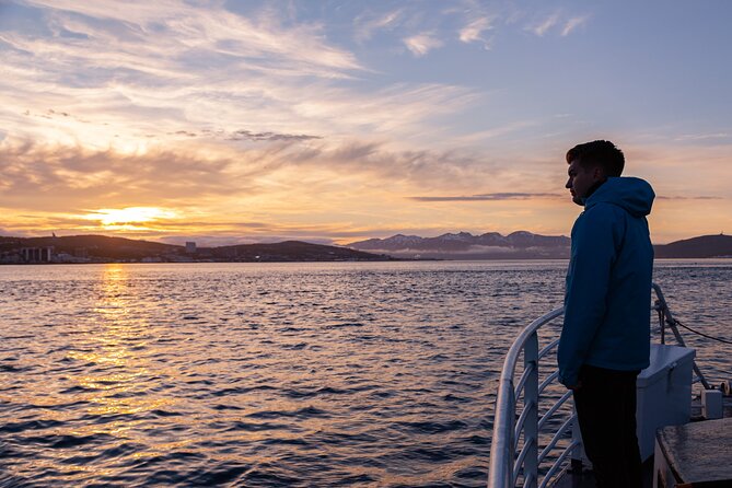 Tromsø: Arctic Fjord Cruise & Fishing Experience - Is $156.08 a fair price?