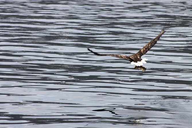 Tromsø: Arctic Fjord Cruise & Fishing Experience - Who should book this cruise?