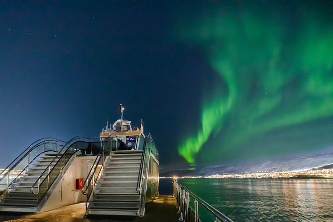 Tromso Aurora Cruise with 3-Course Dinner - What this Tromsø aurora cruise really offers