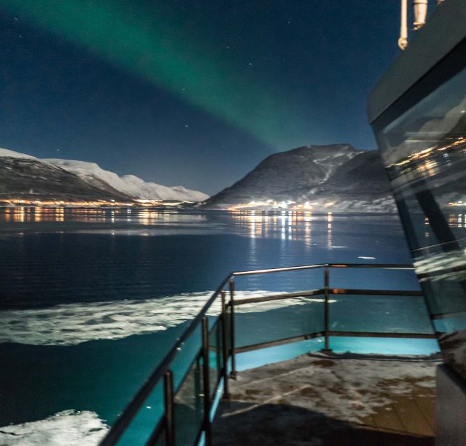Tromsø: Aurora Dinner Cruise by Hybrid-Electric Catamaran - Who should choose this evening