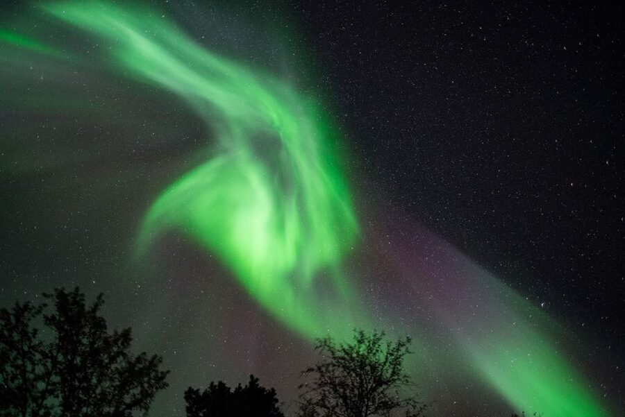 Tromsø: Evening Aurora Cruise (dinner optional) - Searching for the green lady
