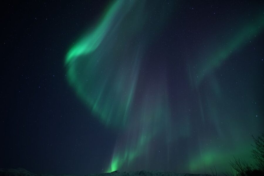 Tromsø: Evening Aurora Cruise (dinner optional) - Practical tips for your evening