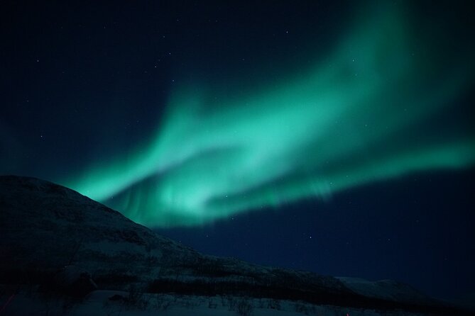 Tromsø: Evening Cruise with Northern Lights Opportunity - Key points before you book
