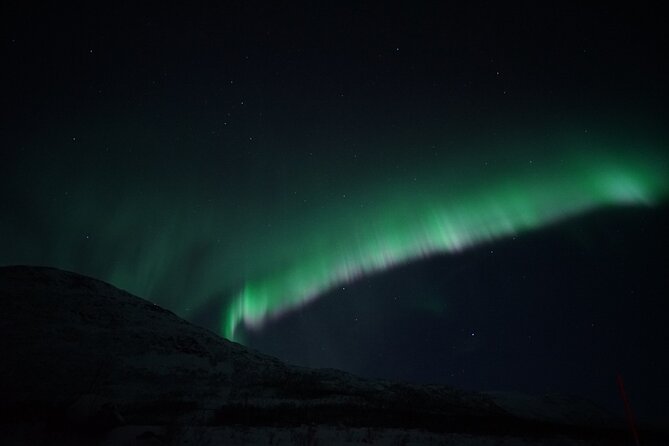 Tromsø: Evening Cruise with Northern Lights Opportunity - Cruising the Arctic Sea around Tromsø