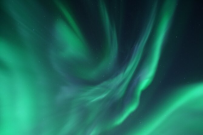 Tromsø: Evening Cruise with Northern Lights Opportunity - What the $128.52 price really covers