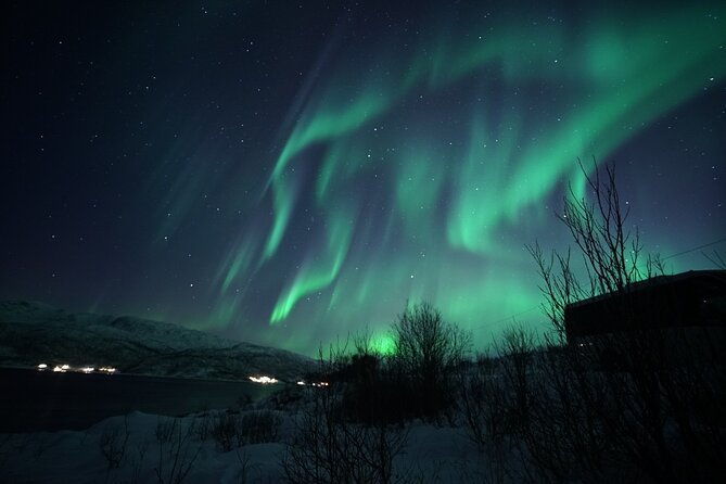 Tromsø: Evening Cruise with Northern Lights Opportunity - Who will enjoy this cruise most