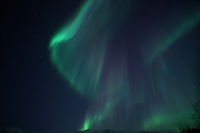 Tromsø: Evening Cruise with Northern Lights Opportunity - Watching the Northern Lights from the deck