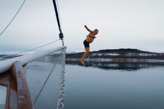 Tromso Luxury Sailing Yacht Polar Fjord Cruise with Lunch - Reindeer soup makes lunch part of the experience