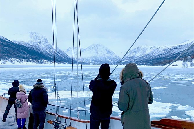Tromso Luxury Sailing Yacht Polar Fjord Cruise with Lunch - The hot tub and polar plunge