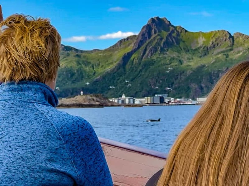 Tromsø: Midnight Sun Evening Cruise with Hot Tub - Coffee, blankets, and the food question