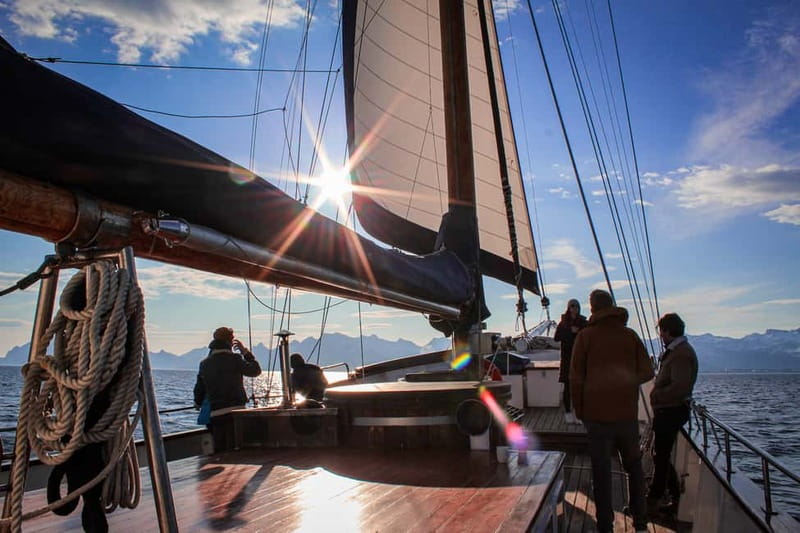 Tromsø: Midnight Sun Evening Cruise with Hot Tub - The hot tub and polar plunge choice
