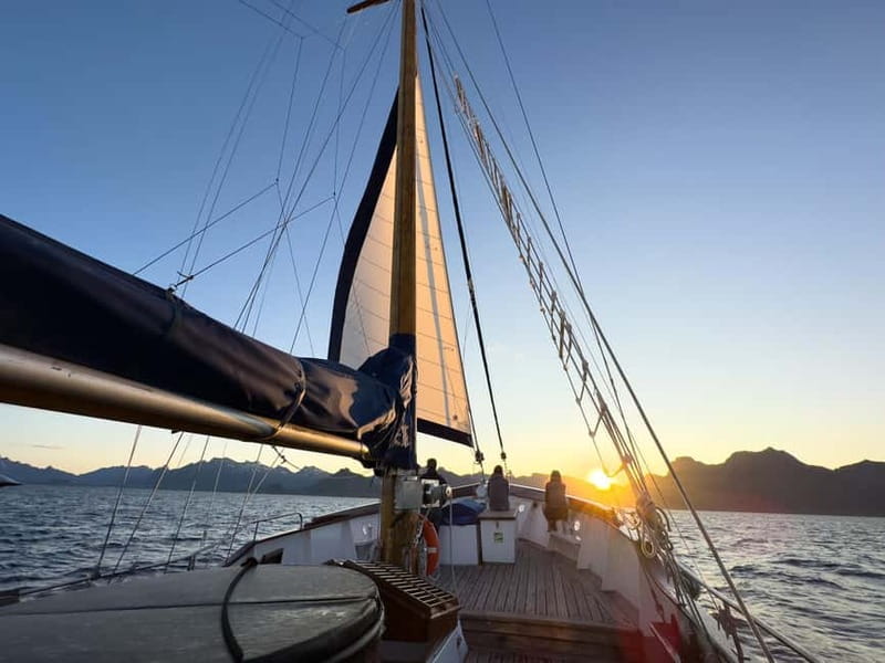 Tromsø: Midnight Sun Evening Cruise with Hot Tub - Is $309 a fair price?