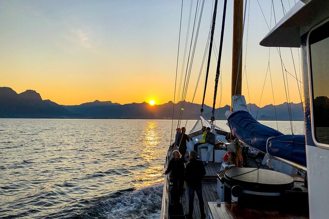 Tromsø Midnight Sun Evening Cruise with Hot Tub and Polar Plunge - Key points to know before booking
