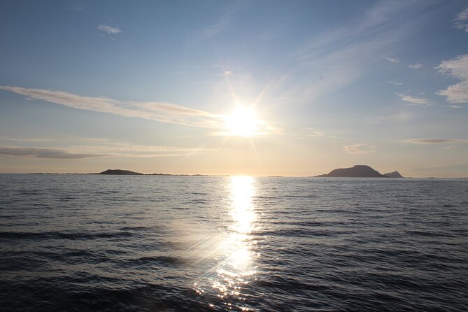 Tromsø Midnight Sun Evening Cruise with Hot Tub and Polar Plunge - Why the small group changes the evening