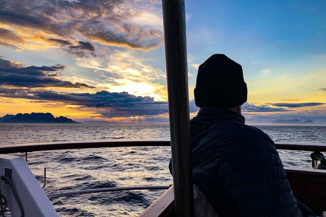 Tromsø Midnight Sun Evening Cruise with Hot Tub and Polar Plunge - Who will enjoy this Tromsø cruise most?