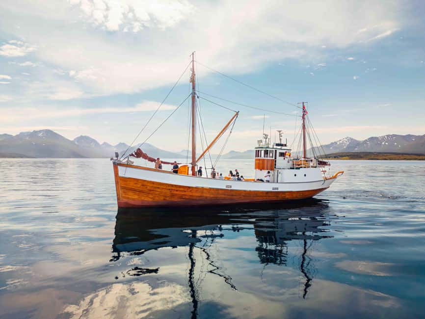 Tromsø: Northern Lights Dinner Cruise - A coastal meal from Dragøy