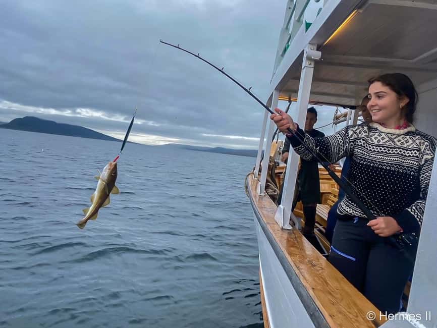 Tromsø: Northern Lights Dinner Cruise - Warm lounges, blankets, and practical comfort