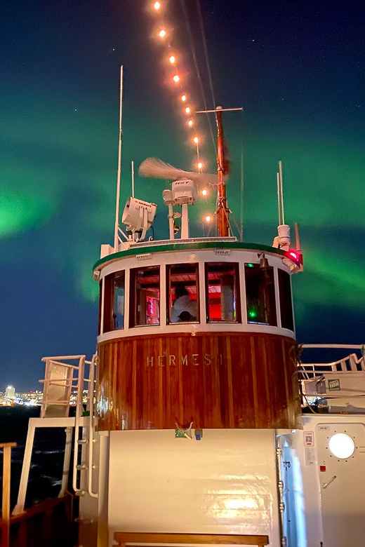 Tromsø: Northern Lights Dinner Cruise - How the three hours are likely to unfold