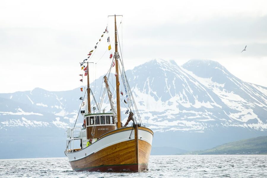 Tromsø: Northern Lights Dinner Cruise - Who will enjoy this cruise most?