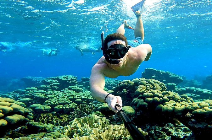 Tropical Dream Snorkel and Dinner Sail in Aruba - Who gets the best value from $3,131