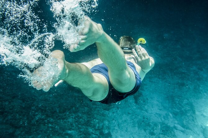 Ultimate Key West Day: Dolphin & Snorkel Combo with Sunset Sail - The price and who gets good value