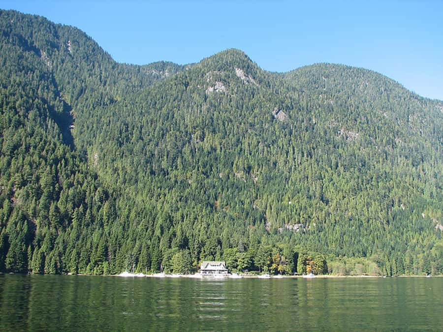 Vancouver Brunch Cruise - At a Glance