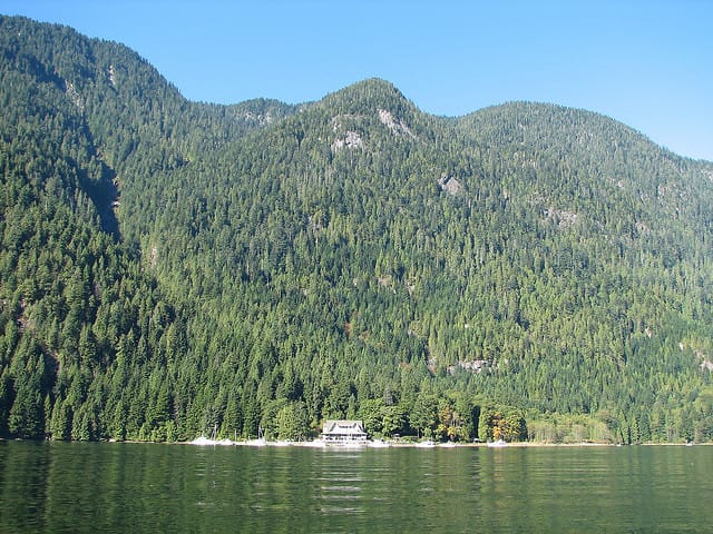 Vancouver Brunch Cruise - Service, Comfort, and Accessibility