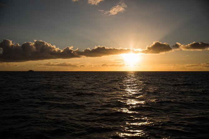 Waikiki Fireworks Dinner Cruise: Sail & Sparkle on Friday Nights - The Waikiki fireworks from the water