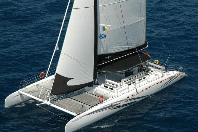 Western Tenerife Cruise with Lunch and Open Bar - Los Gigantes from the water