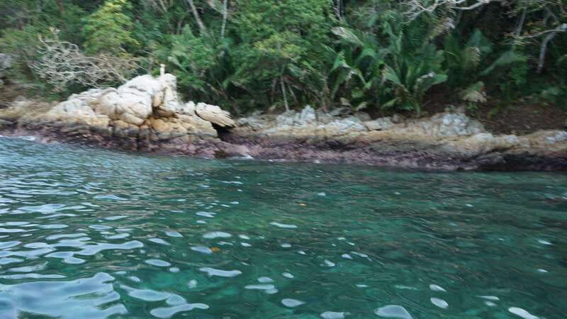 Yelapa: Catamaran Cruise with Lunch and Open Bar - Who Will Enjoy This Seven-Hour Outing