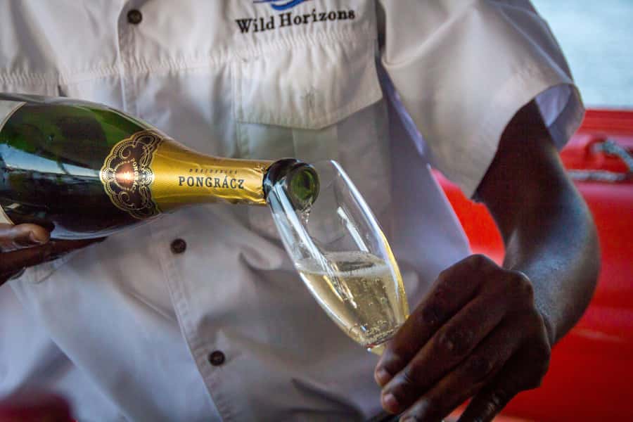 Zambezi River: Dinner Cruise - Dinner, drinks, and the value of a special evening